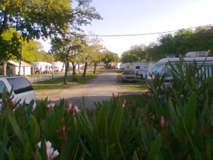 Image009