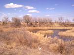 Belmer Park Lakes