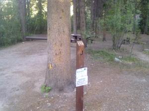Site J