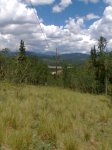 Colorado Trail looking East