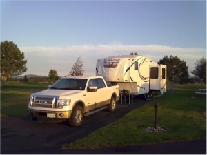 Wildcat Extralite 241RLX