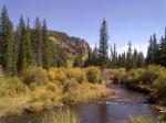 Jefferson Creek Campground