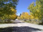 Jefferson Creek Campground