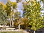 Chalk Creek Campground