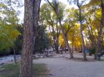 Chalk Creek Campground #21, 22, 24