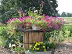 Jim & Mary's RV Park