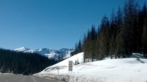 Wolf Creek Pass