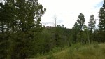 wp_20140823_002