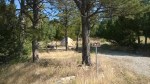 WP_20140702_002