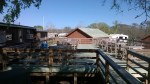 WP_20150324_004