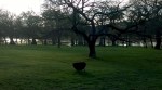 WP_20150325_002c