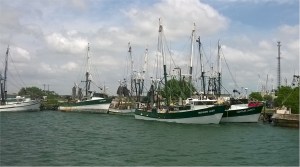Brownsville Shrimp Fleet