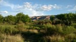 WP_20150520_004