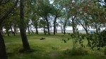 WP_20150830_011