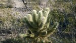 WP_20160310_008