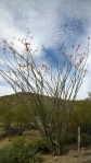 WP_20160311_003