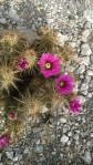 WP_20160311_006
