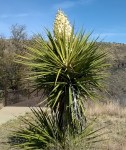 WP_20160320_015c