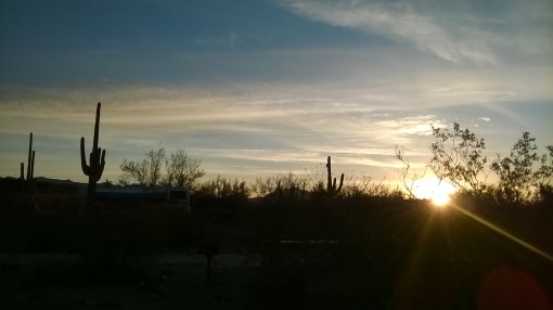 Organ Pipe Cactus National Monument