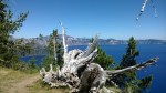 WP_20160820_009