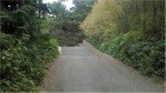 Dungeness Campground, Site&nbsp;#8