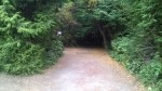 Dungeness Campground, Site&nbsp;#10