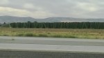 WP_20160901_001c