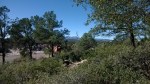 wp_20170302_003
