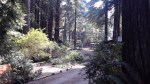20170909_123717