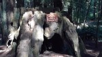 20170909_123740
