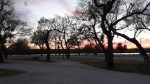 20190409_201231