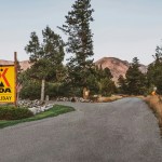 Livingstone KOA Entrance